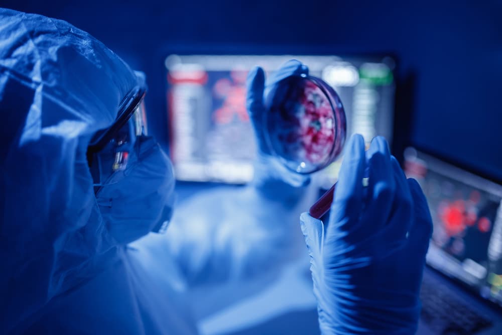 Microbiologist looking at sample to inspect for sepsis in patient